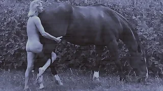 Free Sex Movies 16
