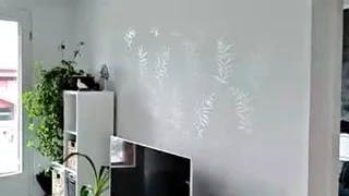 Porn Free Tube 5