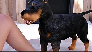 xnxx 64